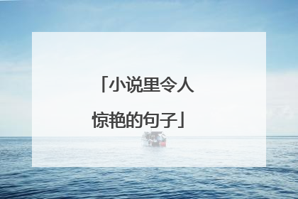 小说里令人惊艳的句子