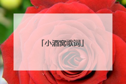 小酒窝歌词