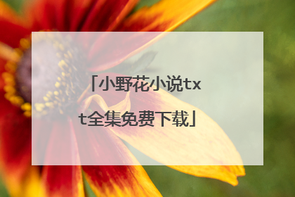 小野花小说txt全集免费下载