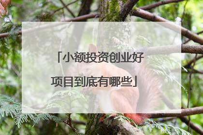 小额投资创业好项目到底有哪些