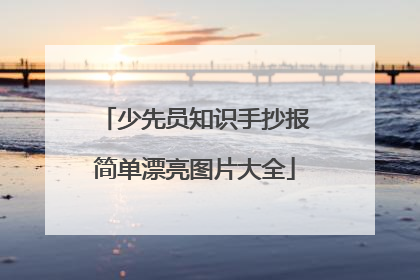 少先员知识手抄报简单漂亮图片大全