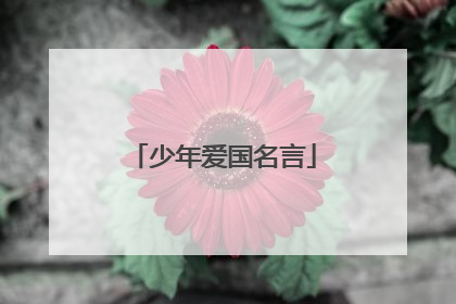 少年爱国名言