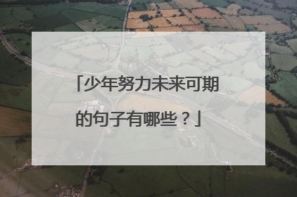 少年努力未来可期的句子有哪些?
