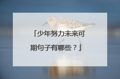 少年努力未来可期句子有哪些?