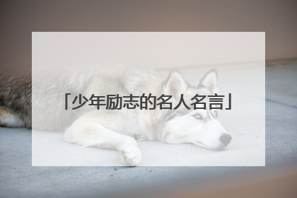 少年励志的名人名言
