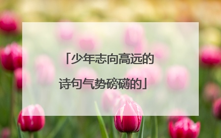 少年志向高远的诗句气势磅礴的