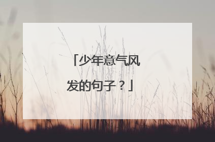 少年意气风发的句子？