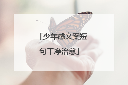 少年感文案短句干净治愈