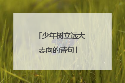少年树立远大志向的诗句