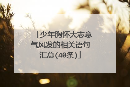 少年胸怀大志意气风发的相关语句汇总(40条)