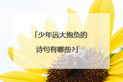 少年远大抱负的诗句有哪些?