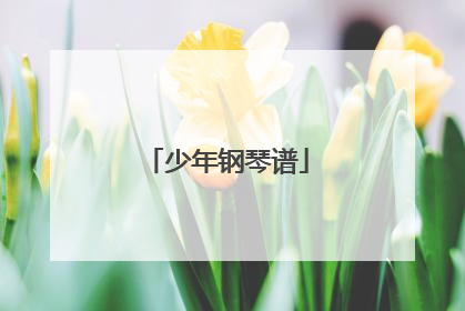 少年钢琴谱