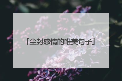 尘封感情的唯美句子