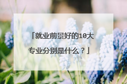 就业前景好的10大专业分别是什么？