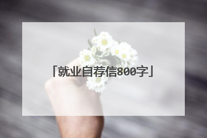 就业自荐信800字