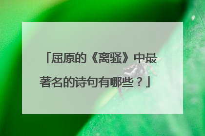 屈原的《离骚》中最著名的诗句有哪些？