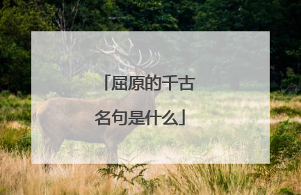 屈原的千古名句是什么