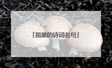 屈原的诗词名句