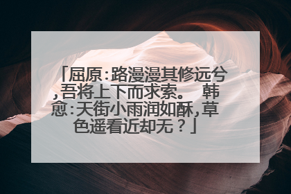 屈原:路漫漫其修远兮,吾将上下而求索。 韩愈:天街小雨润如酥,草色遥看近却无？