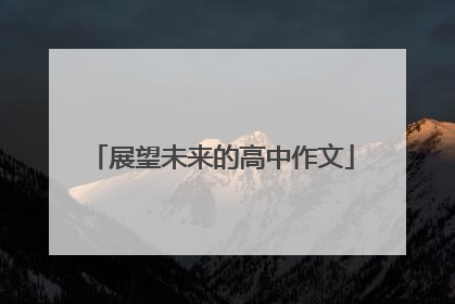 展望未来的高中作文