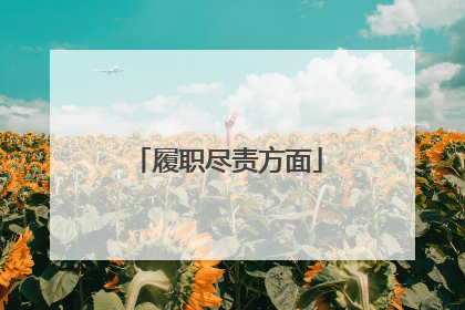 履职尽责方面