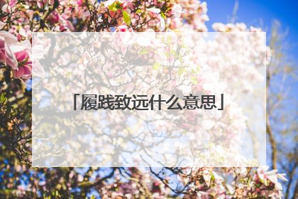 履践致远什么意思