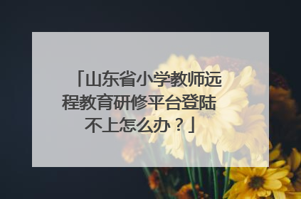 山东省小学教师远程教育研修平台登陆不上怎么办？