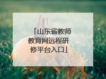 山东省教师教育网远程研修平台入口