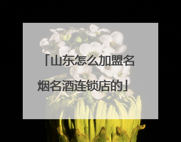 山东怎么加盟名烟名酒连锁店的