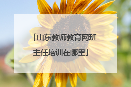 山东教师教育网班主任培训在哪里