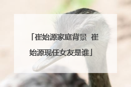 崔始源家庭背景 崔始源现任女友是谁