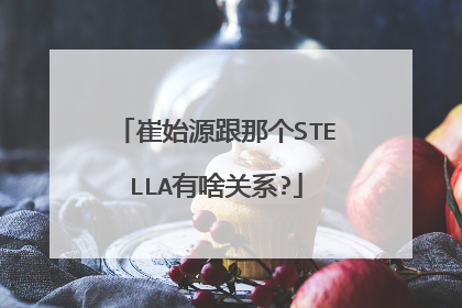 崔始源跟那个STELLA有啥关系?