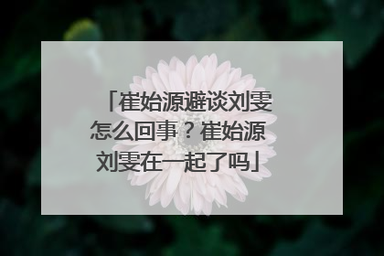 崔始源避谈刘雯怎么回事？崔始源刘雯在一起了吗