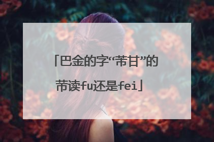 巴金的字“芾甘”的䒥读fu还是fei