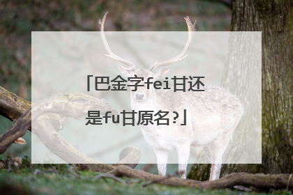 巴金字fei甘还是fu甘原名?