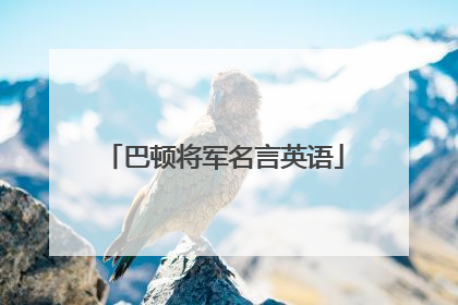 巴顿将军名言英语