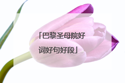 巴黎圣母院好词好句好段
