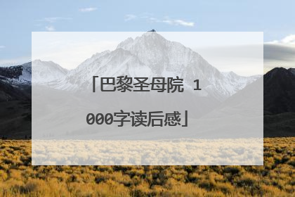巴黎圣母院 1000字读后感