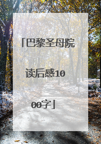 巴黎圣母院 读后感1000字