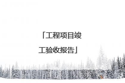 工程项目竣工验收报告