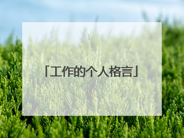 工作的个人格言