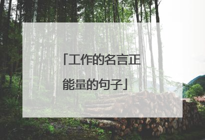 工作的名言正能量的句子