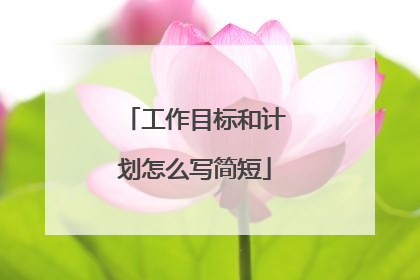 工作目标和计划怎么写简短