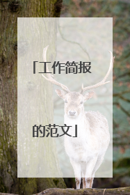 工作简报的范文