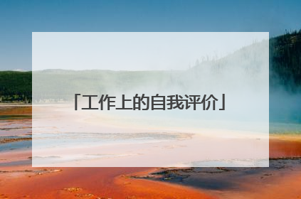 工作上的自我评价