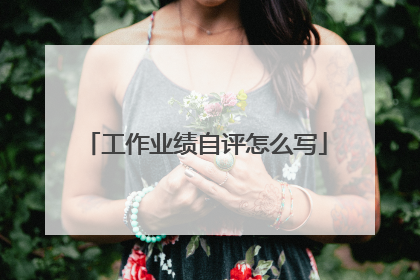 工作业绩自评怎么写