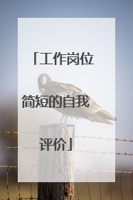 工作岗位简短的自我评价