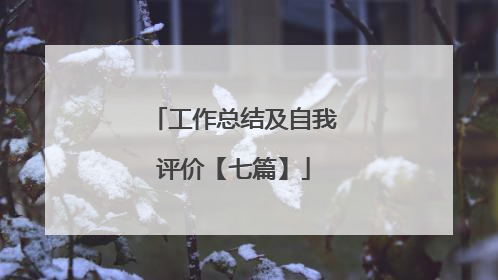 工作总结及自我评价【七篇】
