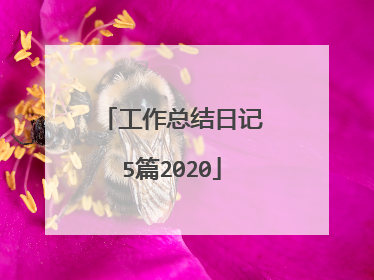 工作总结日记5篇2020