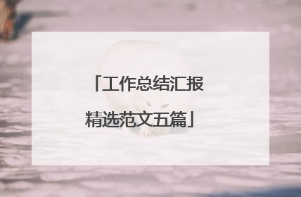 工作总结汇报精选范文五篇